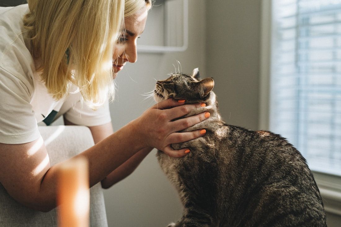 Mujer acariciando a su gato atigrado junto a una ventana